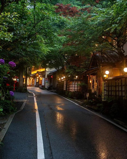 A serene, tree-lined street in Japan at dusk with traditional buildings, warm lanterns, and wet pavement reflecting the lights.