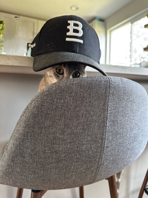 A tabby cat peeks out from behind a gray upholstered chair, wearing a black baseball cap with a white "B" logo. The image humorously illustrates the post's playful claim about being a "Mooncat," with the cat's bashful peek-a-boo pose matching the caption's vow not to mess things up with Robinhood.