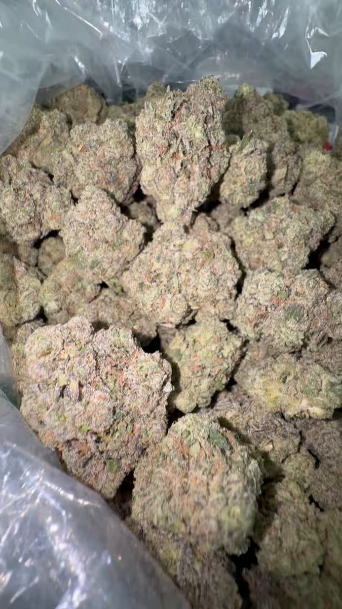 The image shows a large amount of marijuana buds, possibly in plastic bags or containers, sitting on top of each other. The focus of the image is on these buds, with no other objects or people visible. The caption provided seems unrelated to the main subject matter and does not provide any additional information about the content of the image.