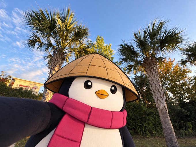 A person holds a penguin mascot plushie wearing a conical Asian hat and a pink scarf, posing outdoors with palm trees and a blue sky in the background.