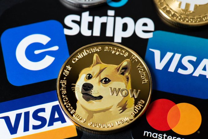 The image features a gold coin with a dog face on it, surrounded by various other coins and banknotes. In the background of the image, there are logos for different companies such as Stripe, Visa, Mastercard, and Bitcoin Cash. The text "much wo $DOGE" is also present in the image.
