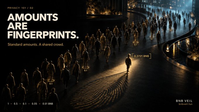 A promotional image for 'BNB Veil' (bnbveil.fun) with the headline 'AMOUNTS ARE FINGERPRINTS' and 'Standard amounts. A shared crowd.', showing crowds of people with transaction amounts like '0.1' and '0.3721 BNB' highlighted.