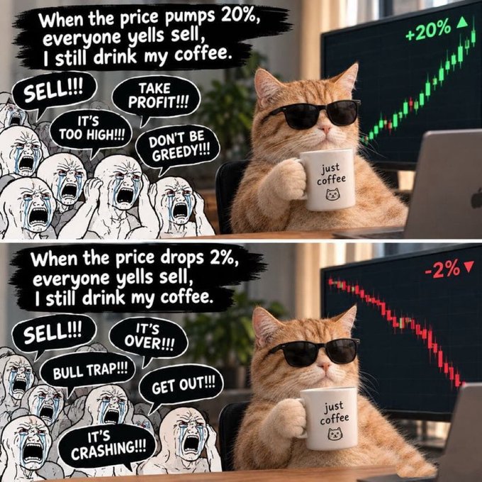 A two-panel meme featuring a cat wearing sunglasses drinking coffee while watching a price chart, with the captions: 'When the price pumps 20%, everyone yells sell, I still drink my coffee' (top panel showing +20%) and 'When the price drops 2%, everyone yells sell, I still drink my coffee' (bottom panel showing -2%).