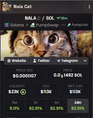 A cryptocurrency trading screen showing the NALA/SOL token with a cat meme image, priced at $0.0001107 and 0.0001492 SOL, listed on PumpSwap via Pump.fun with a market cap of $113K.