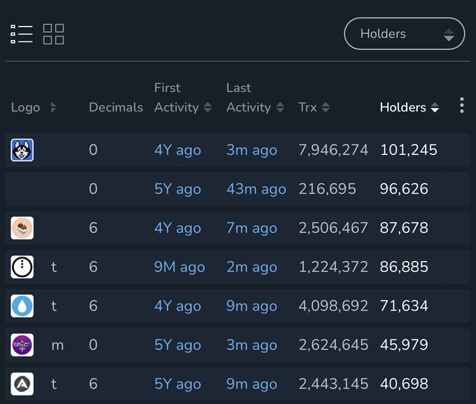 A cryptocurrency dashboard table sorted by Holders, showing columns for Logo, Decimals, First Activity, Last Activity, Trx, and Holders, with token data including 7,946,274 transactions and 101,245 holders for the top entry.