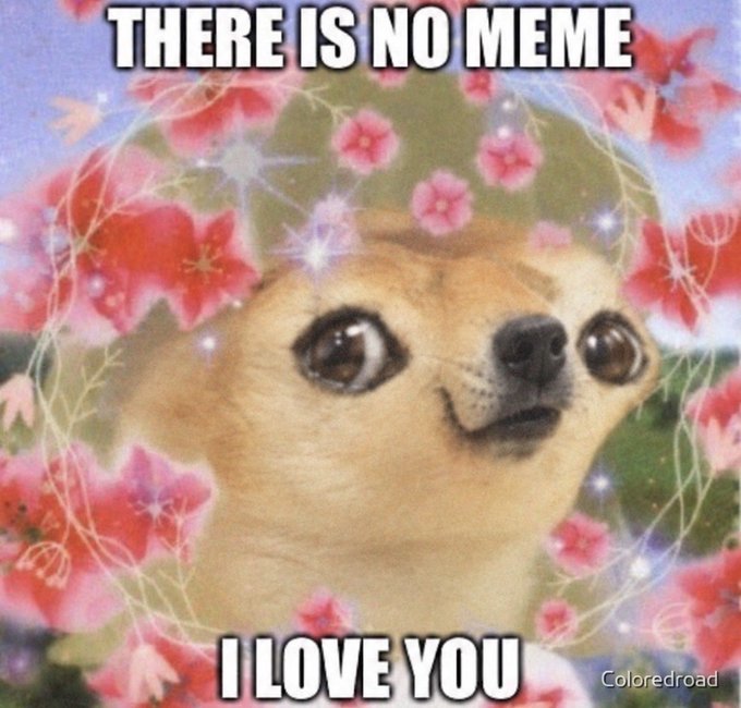 A popular meme features a close-up of a small tan Chihuahua dog with wide, teary eyes surrounded by pink floral graphics and sparkles, with text reading "THERE IS NO MEME" at the top and "I LOVE YOU" at the bottom.