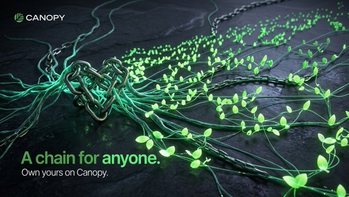 A dark, 3D-rendered advertisement for Canopy features metallic chains intertwined with glowing green vines, with the tagline 'A chain for anyone. Own yours on Canopy.'