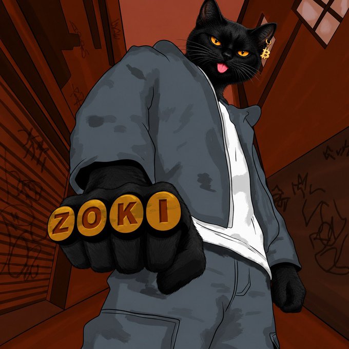 An illustrated anthropomorphic black cat wearing a gray hoodie and white shirt, holding up a gloved fist with gold rings spelling 'ZOKI,' standing in an alleyway with graffiti-covered brick walls.