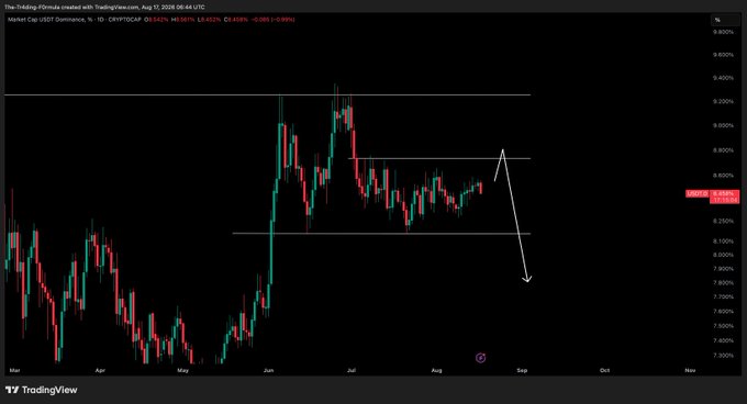 A TradingView daily candlestick chart of USDT.D (USDT Dominance) on the CRYPTO CAP index, dated Aug 17, 2026, showing a price of 8.643%, with white annotations indicating an anticipated upward leg toward the ~8.8-9.0% resistance zone followed by a downward reversal to complete a correction, aligning with the poster's view that this chart requires monitoring for a "leg up then down" pattern.