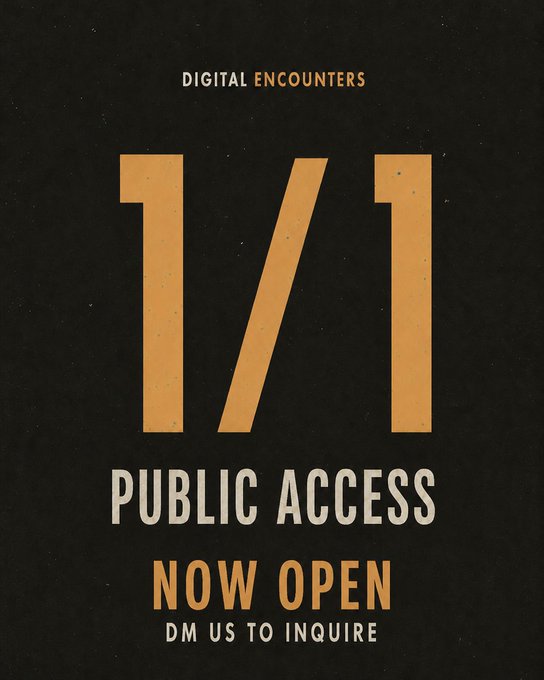 A dark promotional graphic with orange text reading 'DIGITAL ENCOUNTERS', '1/1', 'PUBLIC ACCESS', 'NOW OPEN', and 'DM US TO INQUIRE'.