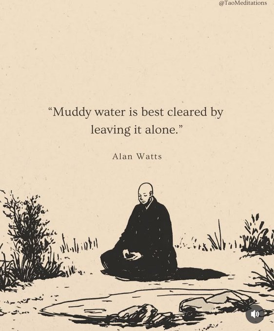 The image features a man sitting cross-legged with his hands resting on his knees, surrounded by rocks and plants. There are two other people visible in the background who appear to be looking at him. The text "Muddy water is best cleared by leaving it alone" is written above the man's head, which seems to be a quote from Alan Watts.