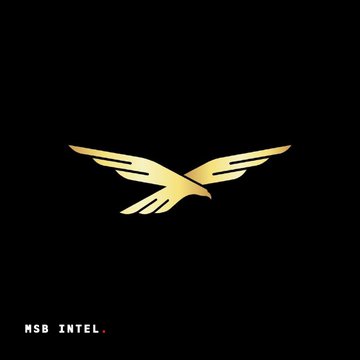 Image 10: A black logo featuring a golden eagle/bird design with the text "NSB INTEL." at the bottom left corner.