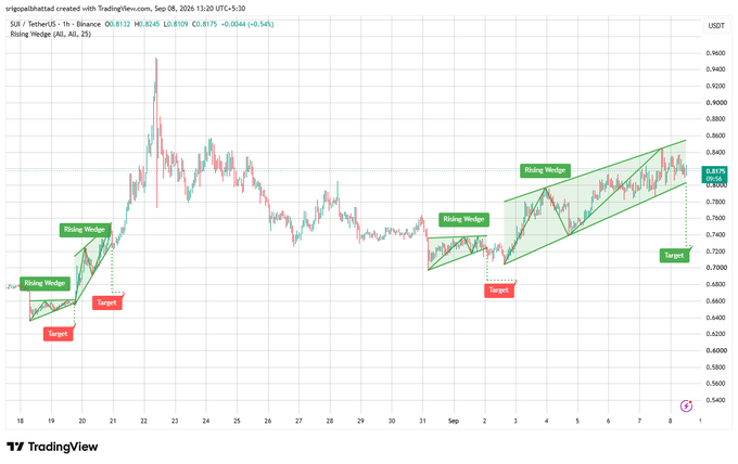 A TradingView 1-hour candlestick chart of SUI/USDT showing price action around 0.8175, annotated with multiple 'Rising Wedge' patterns and red 'Target' labels marking technical analysis levels.