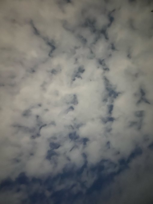 A blurry photograph showing a pattern of dark, bird-like shapes scattered across a lighter, cloudy or mottled background.