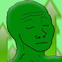 A green, serene "Wojak" meme character with closed eyes represents a calm, meditative state, illustrating the post's message of satisfaction and zen-like composure as the portfolio increases in value.