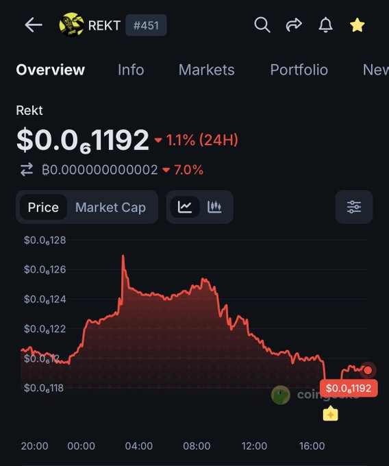 A crypto price chart for 'REKT' token #451 shows a current price of $0.061192, down 1.1% over 24 hours, with a red line chart displaying price volatility over a day.