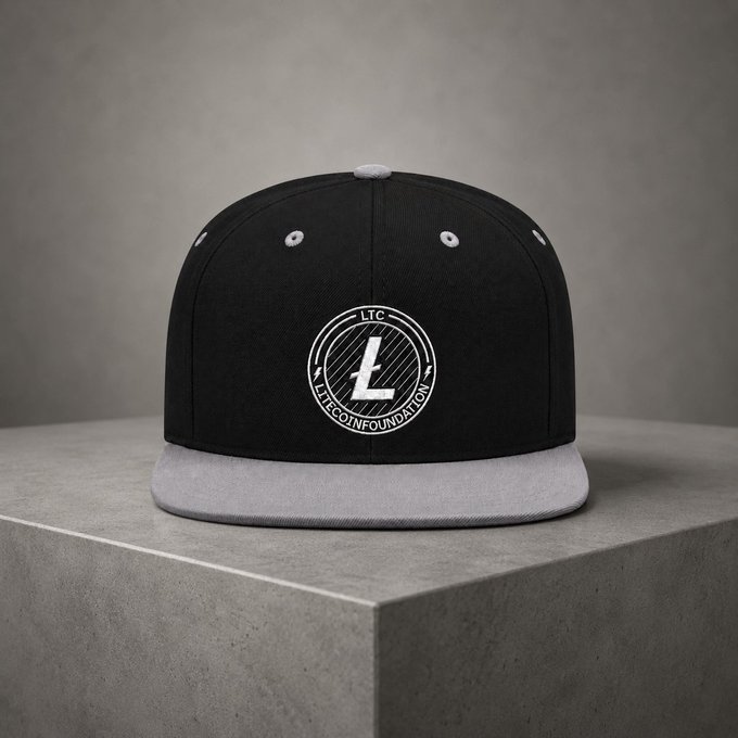A black and gray snapback baseball cap displayed on a concrete pedestal, featuring a circular white logo with the letter 'L' and the text "LTC LITECOIN FOUNDATION" around it.