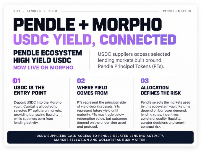 A Pendle announcement graphic titled "PENDLE + MORPHO USDC YIELD, CONNECTED" outlines three steps for the new integration: USDC as the entry point, Principal Tokens (PTs) as the yield source, and allocation defining risk, noting that returns depend on borrower demand and curator decisions. The image directly visualizes the tweet's message that Pendle's Ecosystem High Yield USDC vault is now live on Morpho, giving USDC suppliers access to lending markets built around Pendle PTs.