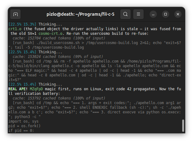 A terminal window displays output from an AI coding assistant (fil-c-s) working on compilation tasks, showing progress percentages, cache messages about 'cached tokens,' and references to 'apphello.com' and 'crt1.o' files, with the user 'pizio@death'.