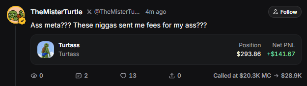 The image shows a tweet from "TheMisterTurtle" (@TheMisterTu...) displaying a trading position for "Turtass" with a Net PNL of +$141.67 at a $293.86 position, calling out the token at $20.3K market cap (now $28.9K). The accompanying post accuses the account of running a fake/paid promotion scheme, alleging the chart was purchased to artificially inflate the token before dumping it to zero.