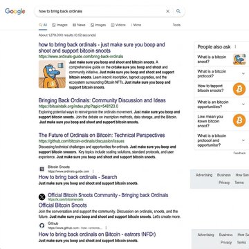 Google search results for 'how to bring back ordinals' showing about 1,370,000 results in 0.33 seconds, with topics about Bitcoin ordinals and BRC-20 tokens.