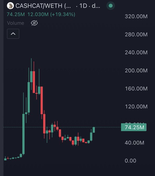 A daily candlestick chart for the CASHCAT/WETH trading pair shows a volume spike of 12.030M (up 19.34%), with current volume at 74.25M against a backdrop of volatile price action that peaked above 280.00M before stabilizing—visually underscoring the post's hype about an imminent "televised" price movement for $CASHCAT.