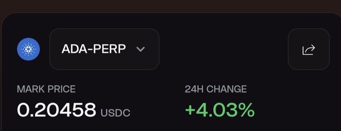 A dark-themed cryptocurrency trading interface showing ADA-PERP with a mark price of 0.20458 USDC and a 24-hour change of +4.03% in green.