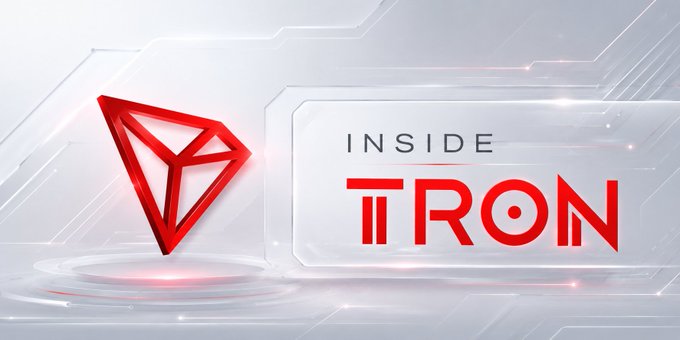 The image features a logo with a red triangle inside a white square that reads "INSIDE TRON" along with a red diamond shape below it. The background of the image is white with lines, giving an impression of a circuit board or electronic device. Below the logo and in the bottom right corner of the image, there's text that says "#117 INSIDE TRON". This text seems to be related to the concept of why some transactions fail even when everything appears correct on the surface.