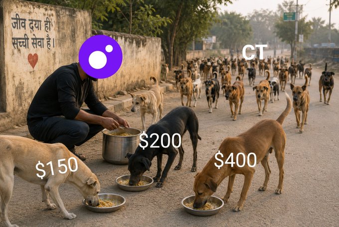 A street scene of a man feeding a large pack of stray dogs from bowls on a road, with a purple blockchain logo overlay, 'CT' text, and dollar amounts ($150, $200, $400) labeled on different dogs.