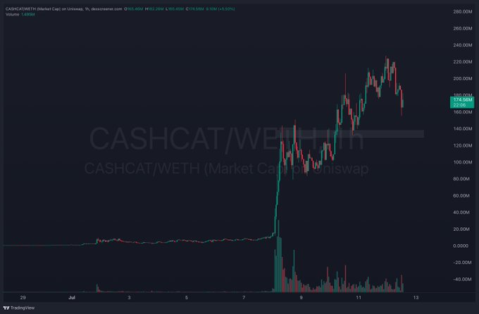 A TradingView candlestick chart for CASHCAT/WETH on Uniswap (Market Cap) shows a dramatic price surge from near zero in early July to a peak around 220M before pulling back to 172.55M, illustrating the volatile "runner" behavior referenced in the post where the author is looking for a pullback entry point on the Robinhood Chain-linked token.