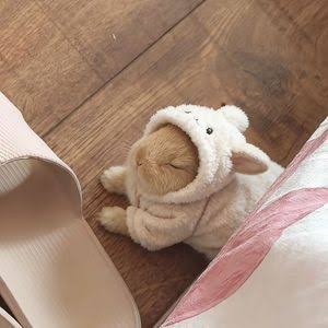 A small stuffed sheep toy nestled between two shopping bags on a wooden floor.