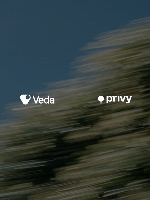 A blurred motion background displays two company logos side by side: 'Veda' with a location pin icon and 'privy' with a circular icon.