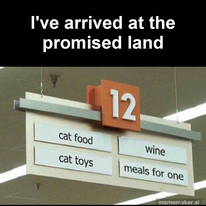 The image features a sign hanging from a ceiling that says "I've arrived at the promised land 12 cat food, wine, cat toys meals for one" written in white text against black background. The sign appears to be located inside a store or market setting and is designed to provide information about the products available there.