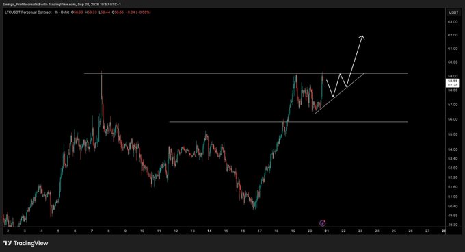 A TradingView candlestick chart for LTC/USD Perpetual Contract on Bybit showing price around $59.12 with a hand-drawn white arrow pointing upward.