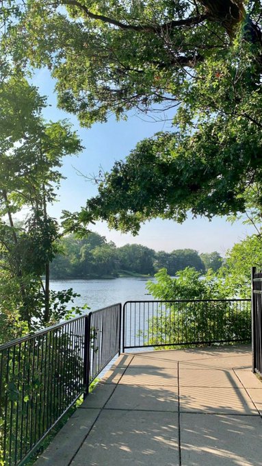 A serene lakeside view framed by lush green trees, featuring a metal railing overlooking calm water from a concrete platform. No text or logos are visible in the image, so it does not directly relate to the GM post to NomismaNetwork.