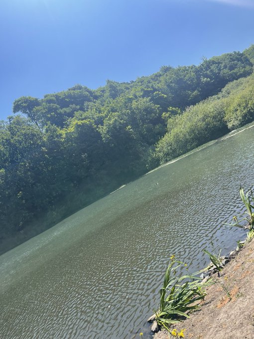 A scenic view of a calm river or lake bordered by lush green trees under a clear blue sky.