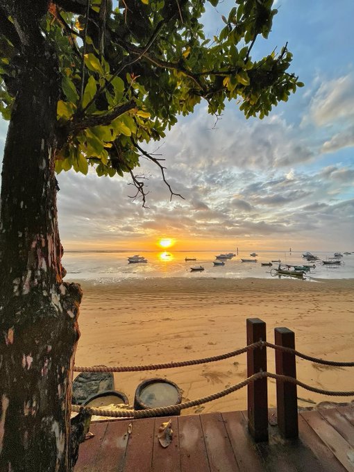 A serene sunset over a tropical beach viewed from a wooden deck, with boats anchored on calm waters and tree branches framing the scene from above.