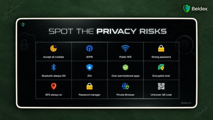 The same 'SPOT THE PRIVACY RISKS' infographic with the twelve privacy icons, this time displayed within a white border on a dark green chalkboard-style background with the Beldex logo.