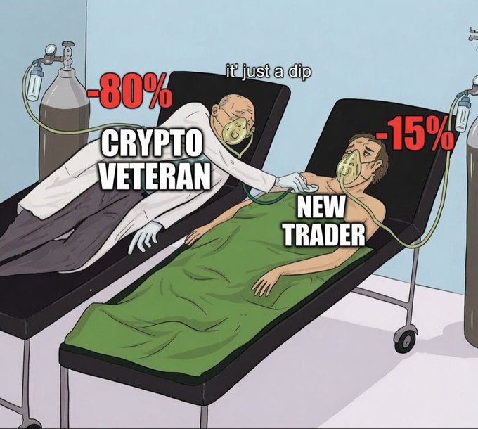 A meme illustration showing a 'CRYPTO VETERAN' calmly consoling a 'NEW TRADER' while both are on oxygen tanks, with the veteran experiencing an 80% drop and reassuring the newcomer experiencing a 15% drop that 'it just a dip'.