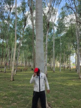 A photo of a person in a red cap and gray jacket standing next to a tall tree in a park or wooded area.
