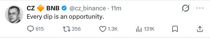 A tweet from CZ 🔶 BNB (@cz_binance) posted 11 minutes prior, reading 'Every dip is an opportunity.', with 615 replies, 356 retweets, and 131K views.