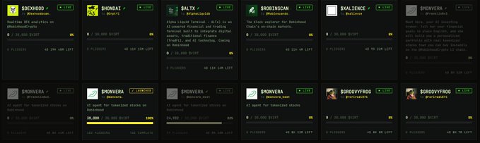 A screenshot of a list of active 'Snowver' and related blockchain memecoin token listings on a launchpad platform, including tokens like STOCKHOO, SNOWDOG, SALTX, and SHOWYERA, all marked as 'LIVE' and '100% SOLD OUT.'