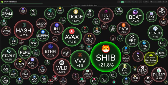A 'CRYPTO BUBBLES' market dashboard displays various cryptocurrencies in colored bubbles, with SHIB notably up 21.8% in a large green bubble at the center.