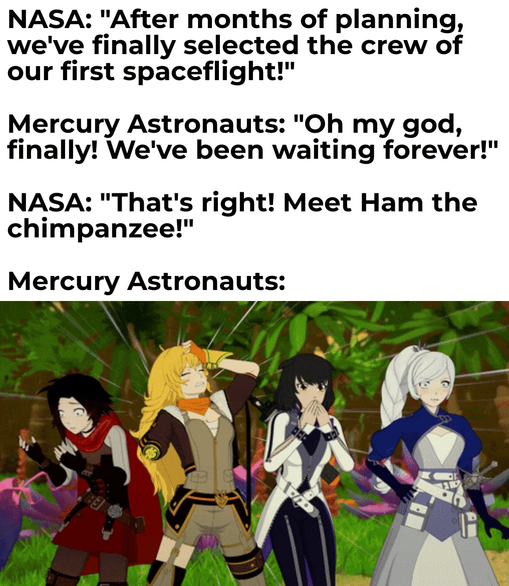 The image features a group of four cartoon characters standing together, with one character wearing a red shirt. The text above them reads "Nasa. 'After months of planning, we've finally selected the crew of our first spaceflight!'. Mercury Astronauts: Oh my god, finally We've been waiting Forever!" and another line that says " Nasa. That's right! Meet Ham the chimpanzee!".