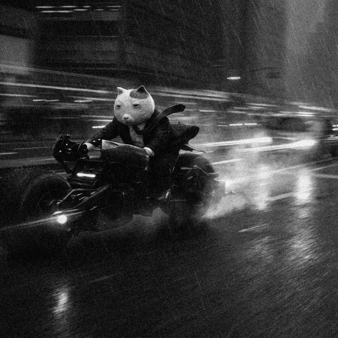 A black-and-white action shot of a person wearing a large white animal-head mask riding a motorcycle through the rain on a city street.
