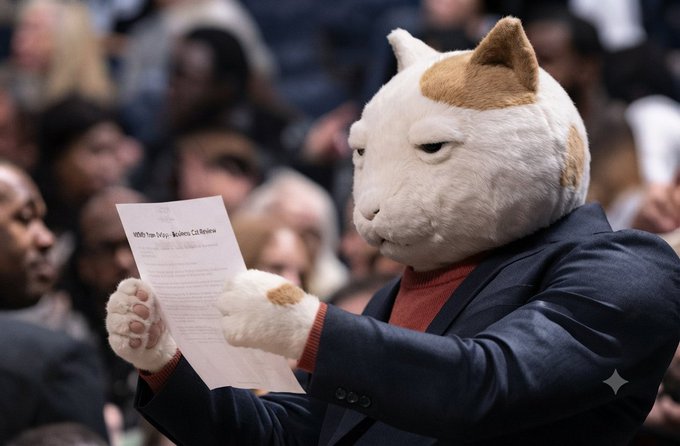 A person wearing a white and orange cat head mask and a suit holds up a document titled "1000 Van Dyke, Builders, Co Review," reading it intently. The image humorously evokes an investor examining a stock prospectus, tying into the post's joke about taking advantage of low prices to buy the ticker $KET.