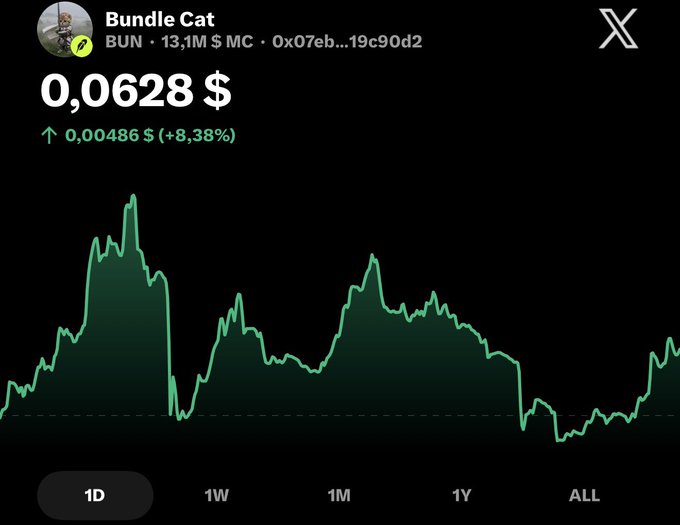 Cryptocurrency price chart for Bundle Cat (BUN) showing a current price of $0.0628, up 8.38% with a market cap of $13.1M and contract address 0x07eb...19c90d2.