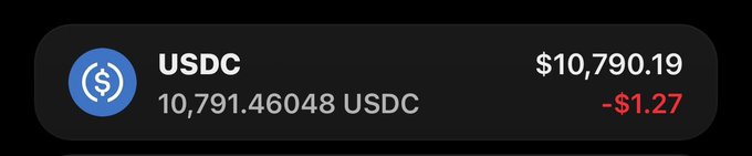 A cryptocurrency portfolio widget showing a USDC balance of 10,791.46048 USDC valued at $10,790.19, with a daily loss of -$1.27 in red.