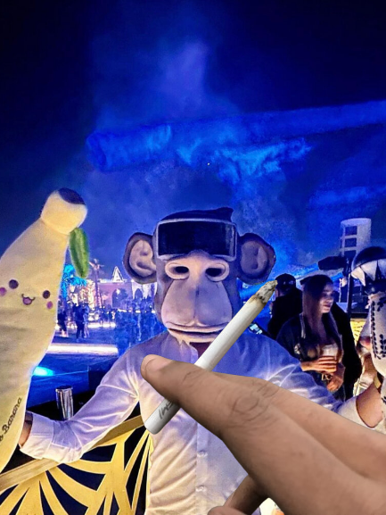 A person wearing a Bored Ape Yacht Club-style monkey mask smokes from a hookah at a nighttime event, while someone hands them what appears to be a cigar, with a white plush character on the left and blurred festival-goers in the background.

The image's hazy, chaotic party vibe with an ape mascot mirrors the post's criticism of crypto's oversaturated landscape—where endless new platforms and chains keep launching despite no real increase in capital, much like how the smoke-filled scene feels crowded and disorienting.