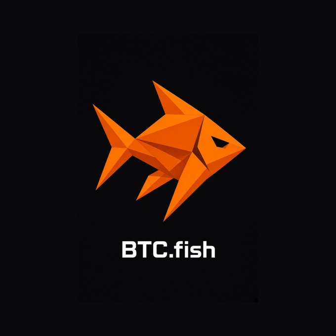 A logo featuring a geometric, low-poly orange fish on a black background with the text 'BTC.fish' displayed below it.